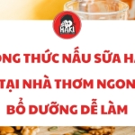 Công thức nấu sữa hạt tại nhà thơm ngon bổ dưỡng dễ làm