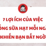 7 lợi ích của việc uống sữa hạt mỗi ngày khiến bạn bất ngờ