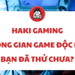 Haki Gaming – Không gian game độc đáo, bạn đã thử chưa?